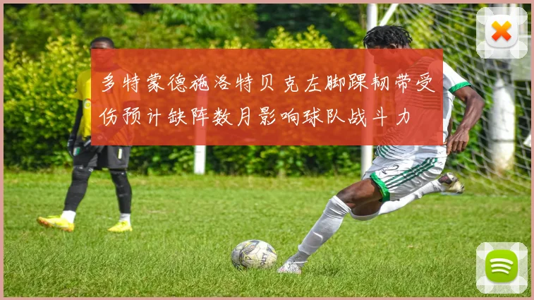 多特蒙德施洛特贝克左脚踝韧带受伤预计缺阵数月影响球队战斗力
